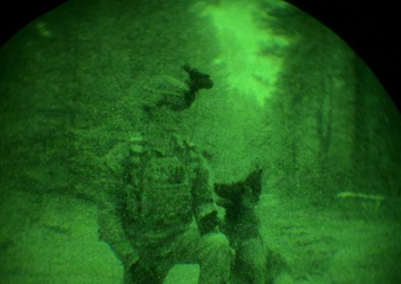 MWDs under NVGs