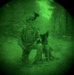 MWDs under NVGs