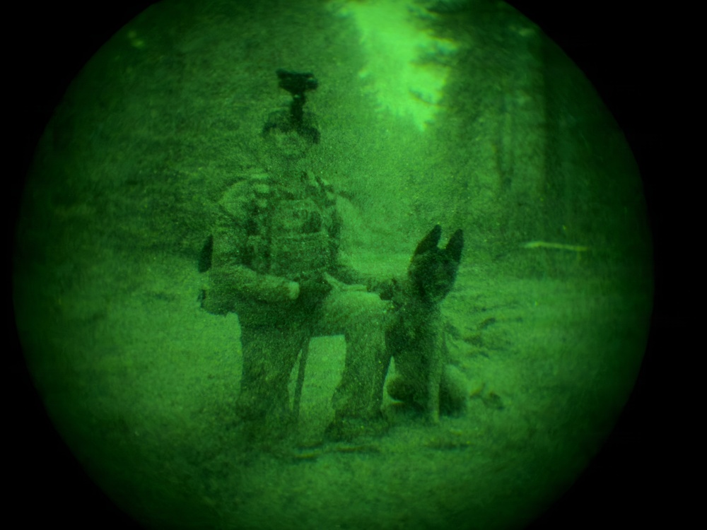 MWDs under NVGs