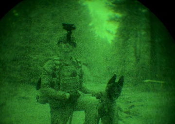 MWDs under NVGs
