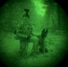 MWDs under NVGs