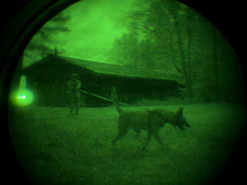 MWDs under NVGs