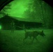 MWDs under NVGs