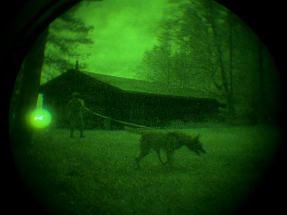 MWDs under NVGs