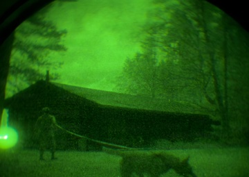 MWDs under NVGs