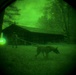 MWDs under NVGs