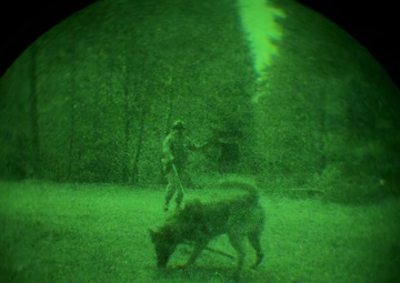 MWDs under NVGs