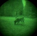 MWDs under NVGs