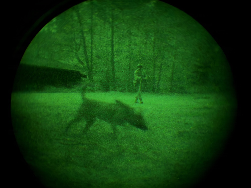 MWDs under NVGs