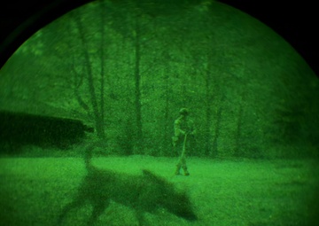 MWDs under NVGs