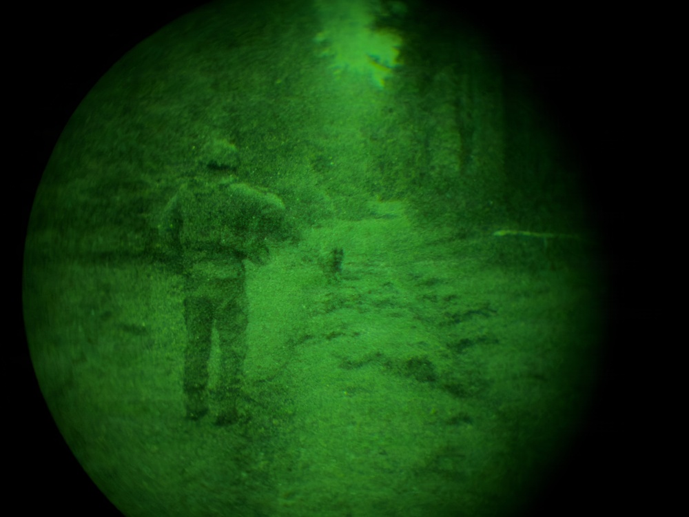 MWDs under NVGs