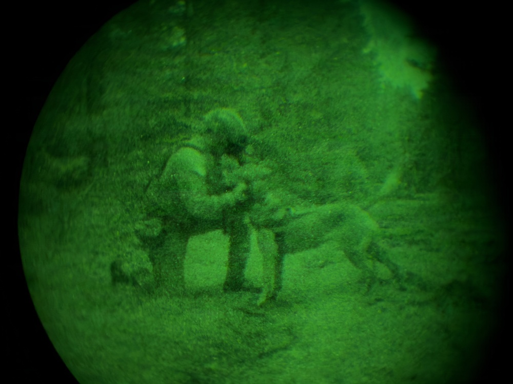 MWDs under NVGs