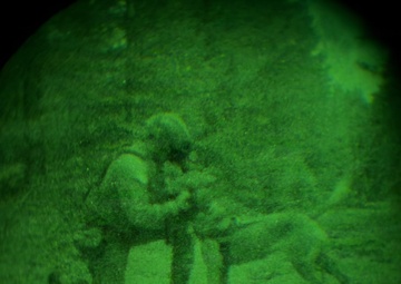MWDs under NVGs