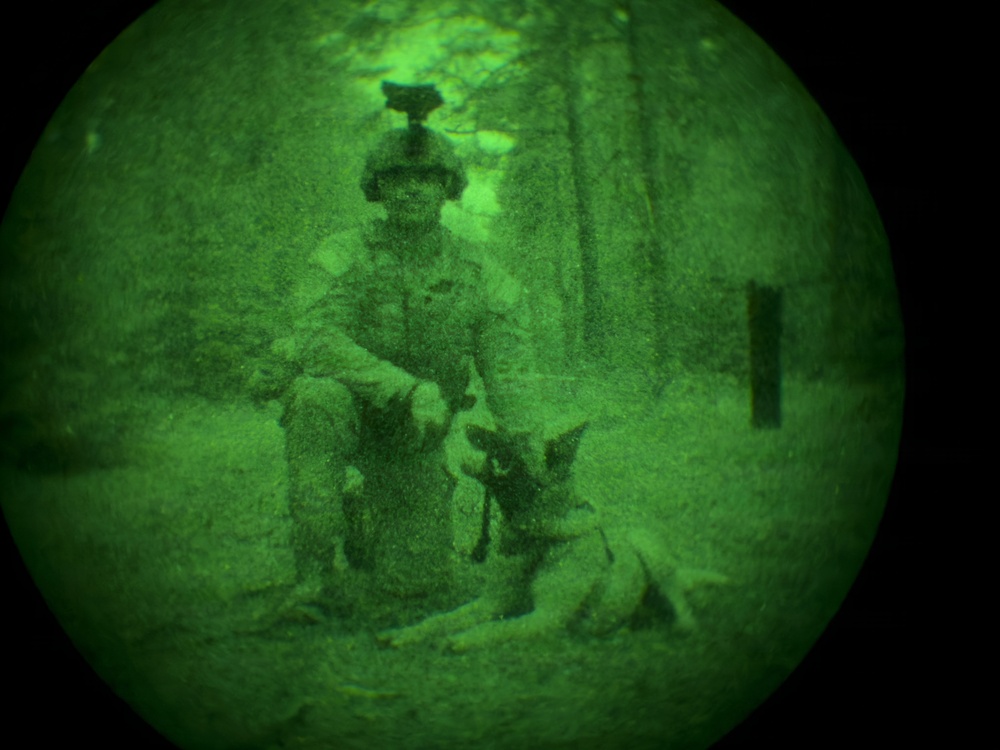 MWDs under NVGs