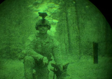 MWDs under NVGs