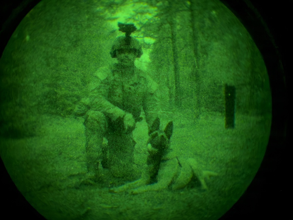 MWDs under NVGs