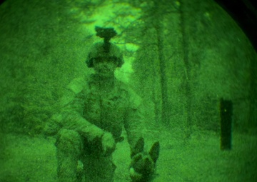 MWDs under NVGs