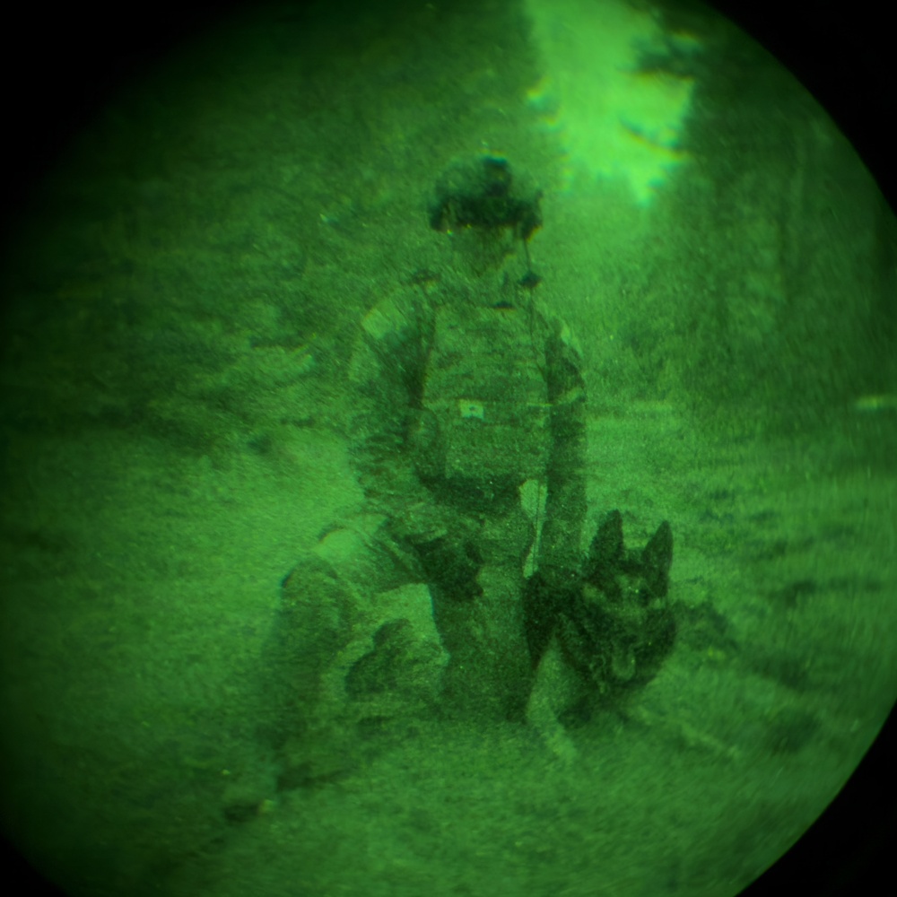 MWDs under NVGs