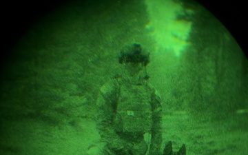 MWDs under NVGs