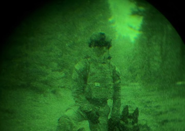 MWDs under NVGs