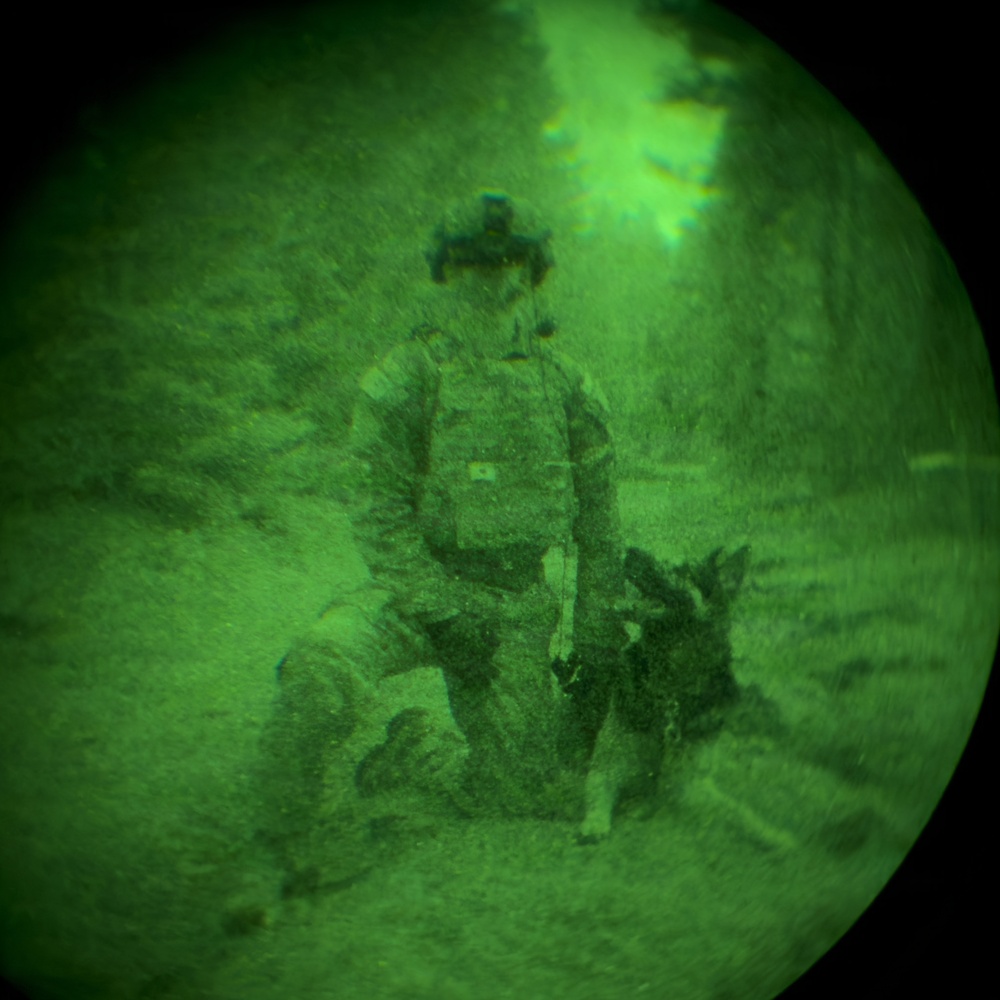 MWDs under NVGs