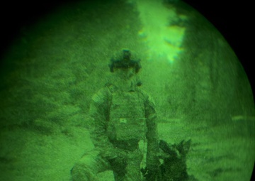 MWDs under NVGs