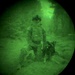 MWDs under NVGs