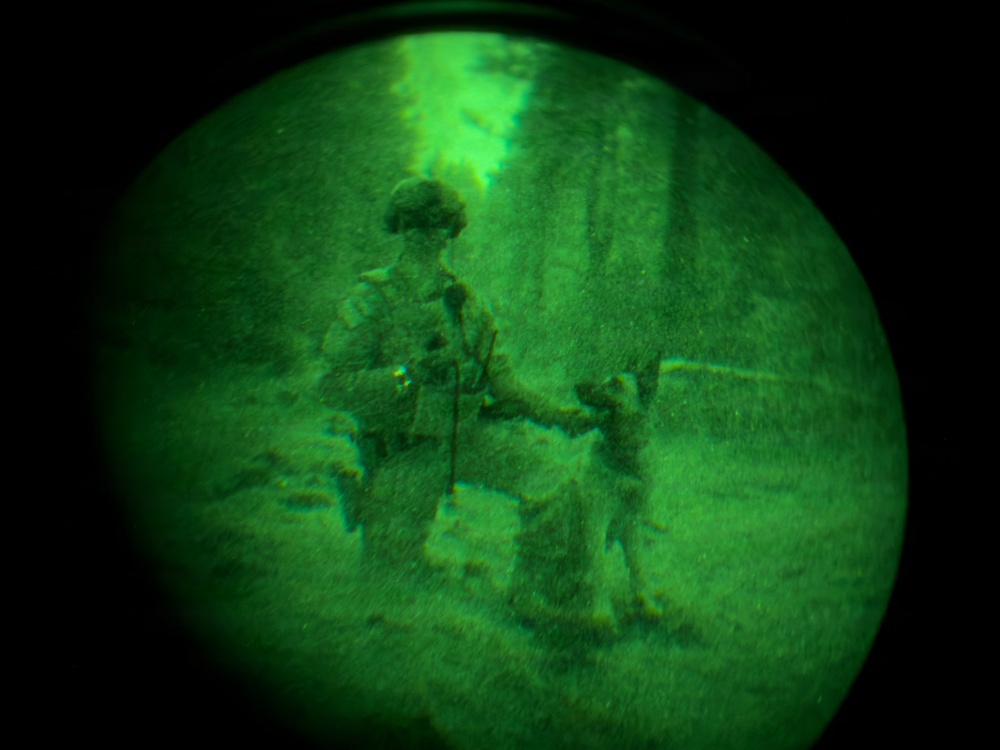 MWDs under NVGs