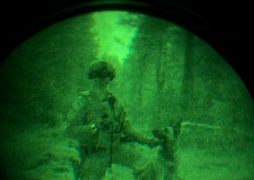 MWDs under NVGs