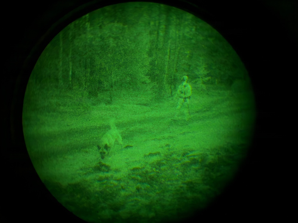 MWDs under NVGs