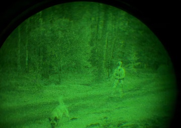 MWDs under NVGs