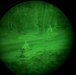 MWDs under NVGs