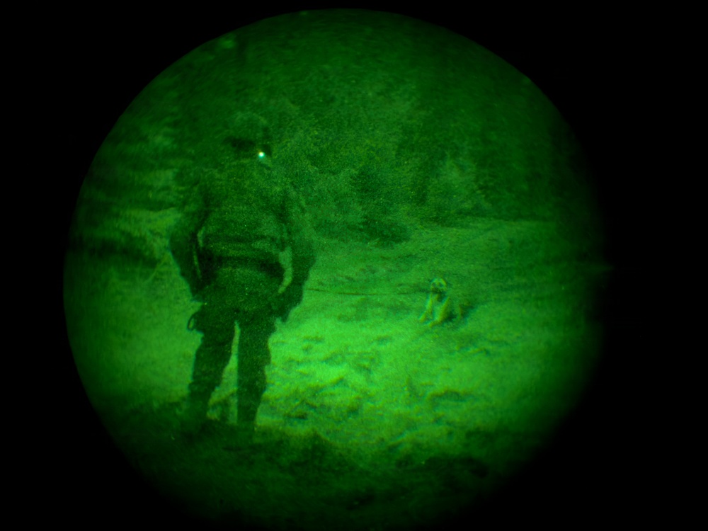 MWDs under NVGs