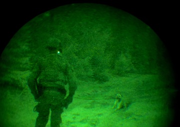 MWDs under NVGs