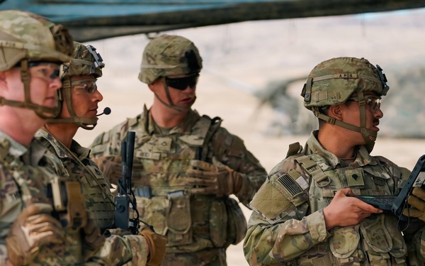 Ivy Sting 5 C2I Assessment