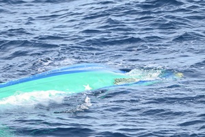 Palmetto Guardian - Episode 179