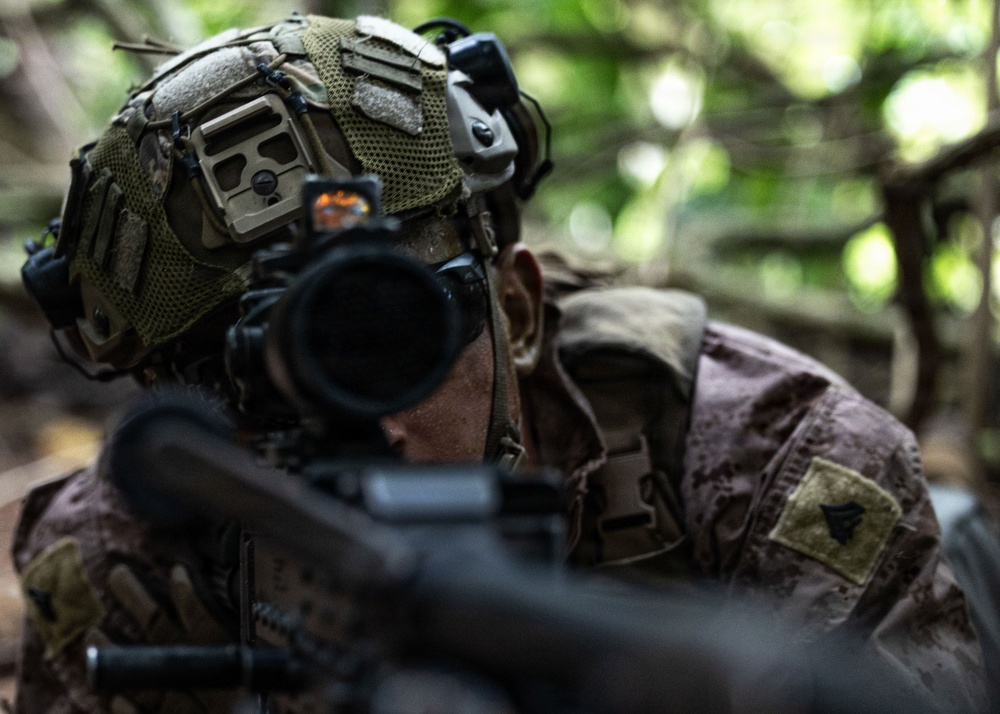 31st MEU | Lima Company conducts simulated amphibious assault
