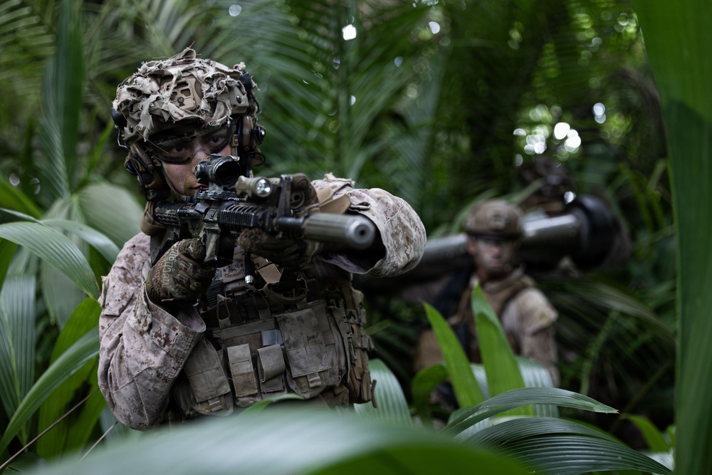 31st MEU | Lima Company conducts simulated amphibious assault