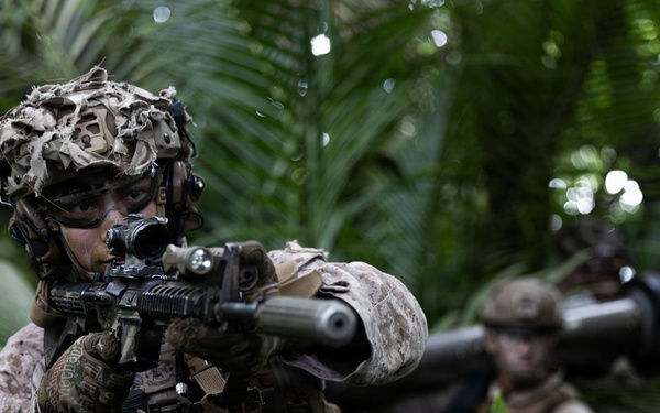 31st MEU | Lima Company conducts simulated amphibious assault
