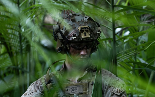 31st MEU | Lima Company conducts simulated amphibious assault