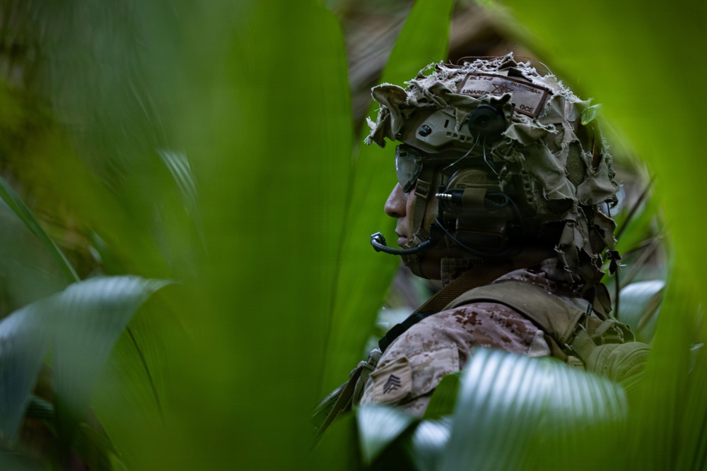 31st MEU | Lima Company conducts simulated amphibious assault