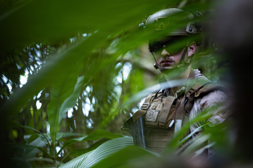 31st MEU | Lima Company conducts simulated amphibious assault