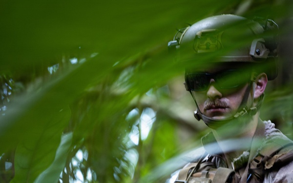 31st MEU | Lima Company conducts simulated amphibious assault