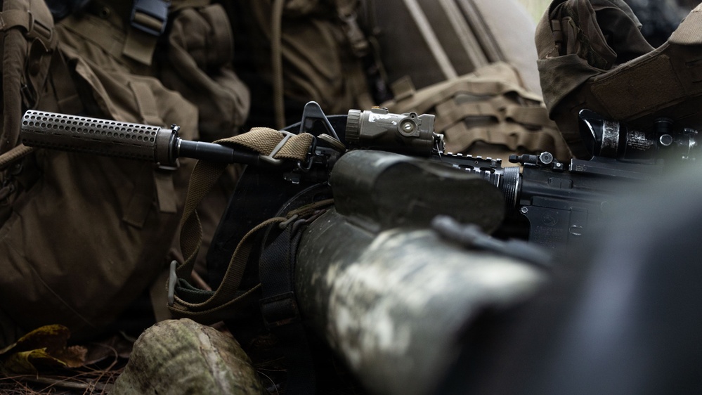 31st MEU | Lima Company conducts simulated amphibious assault