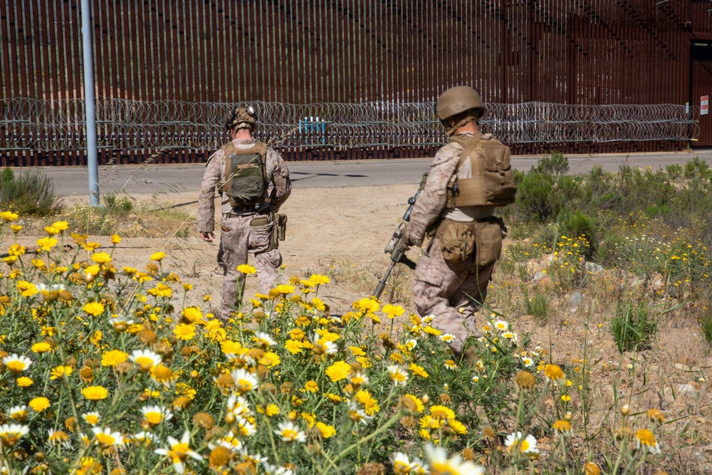 2nd Battalion, 1st Marines Patrols Along Imperial Beach