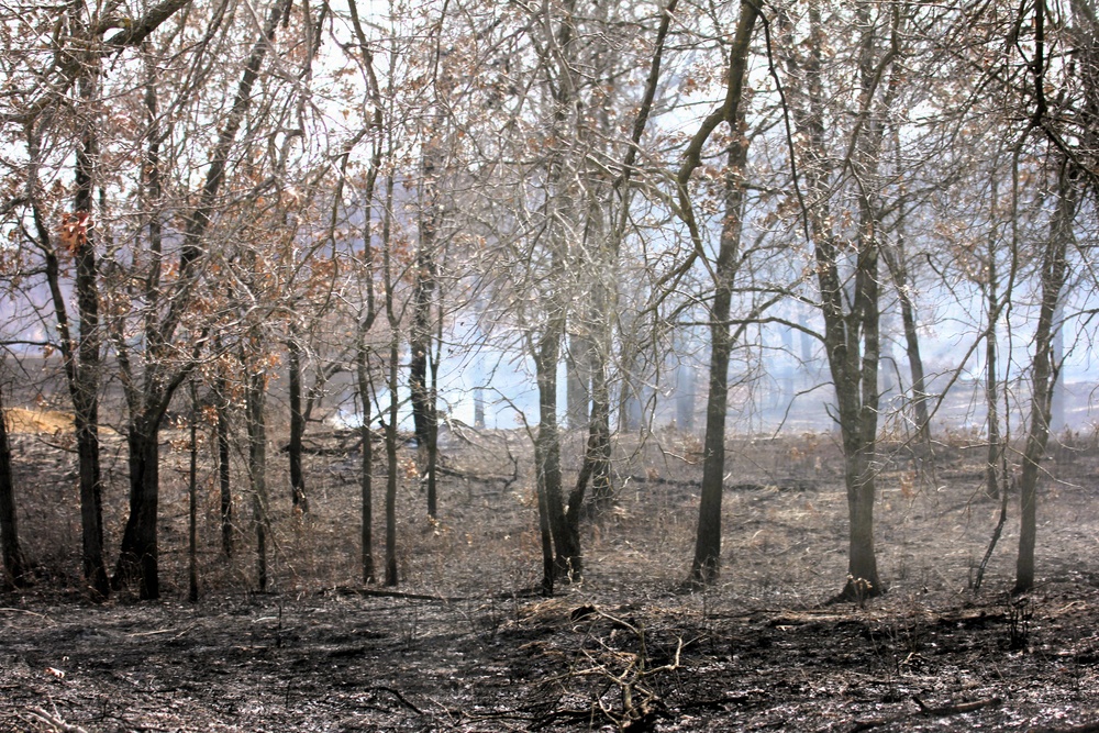 U.S. Forest Service-Fort McCoy partnership leads to effective beginning to 2026 prescribed burn season on post