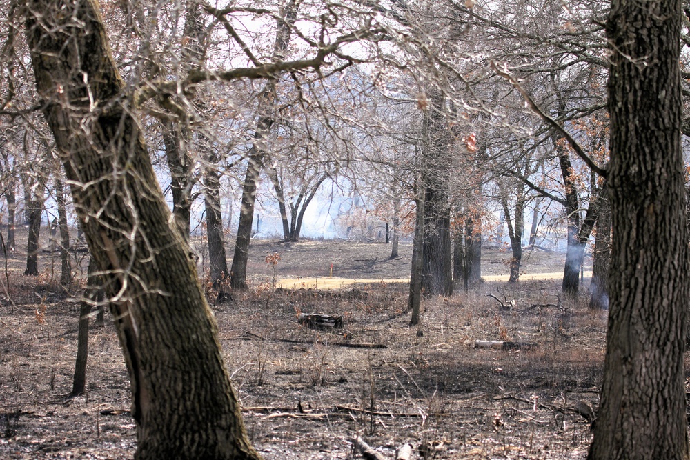 U.S. Forest Service-Fort McCoy partnership leads to effective beginning to 2026 prescribed burn season on post