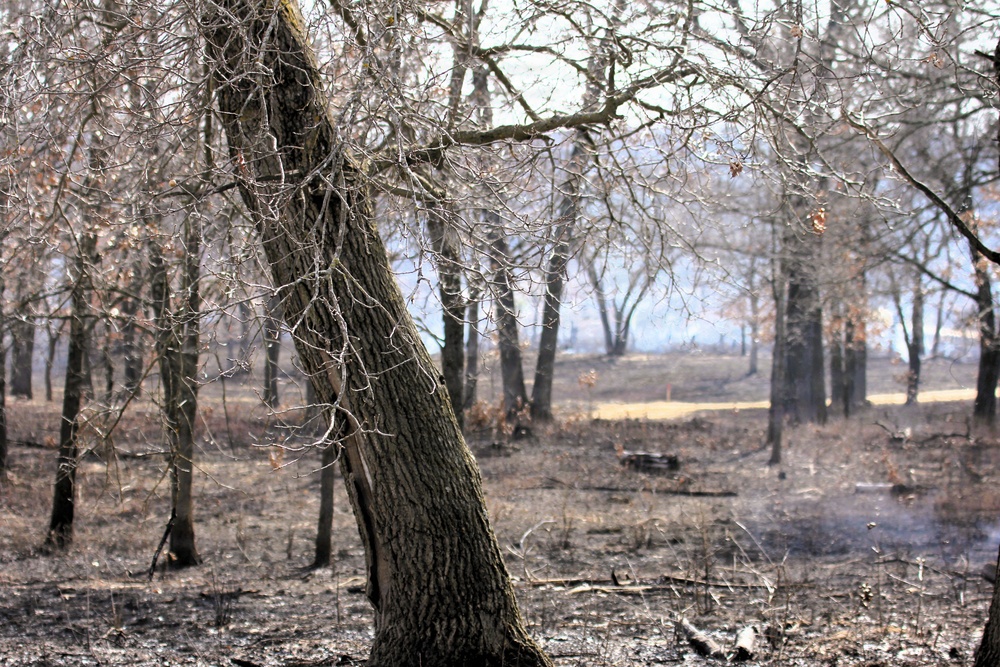 U.S. Forest Service-Fort McCoy partnership leads to effective beginning to 2026 prescribed burn season on post