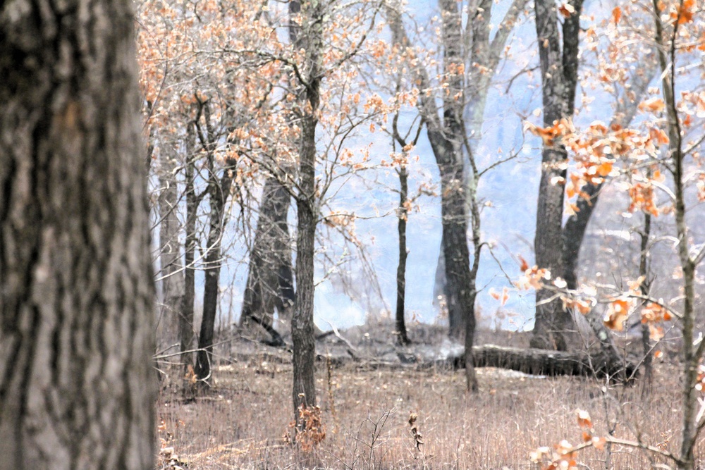 U.S. Forest Service-Fort McCoy partnership leads to effective beginning to 2026 prescribed burn season on post