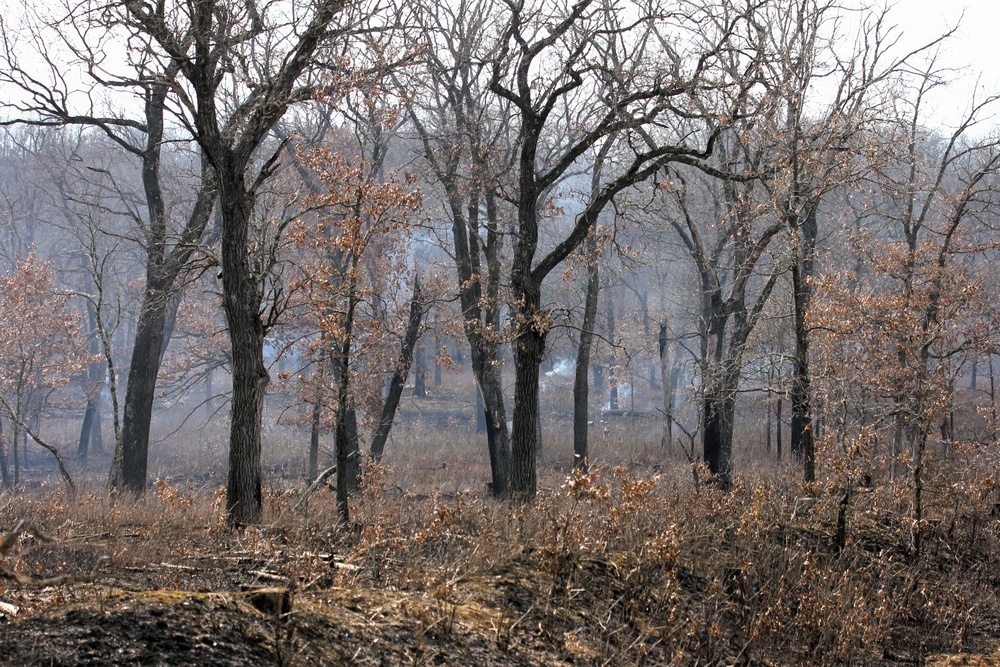 U.S. Forest Service-Fort McCoy partnership leads to effective beginning to 2026 prescribed burn season on post